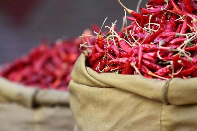 2019年，棉花、大豆、辣椒的价格行情将会何去何从？