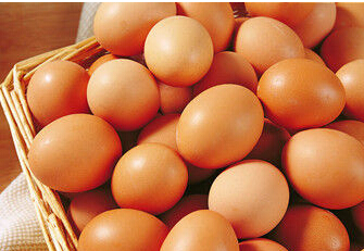 探析鸡蛋价格持续低迷的根源