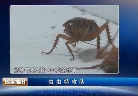 [生财有道]侯祖仁：“虫虫特攻队”治理有害动物年入百万