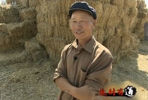 [生财有道]老汉养殖骆驼赚取七十万元的财富