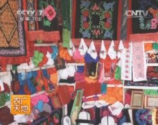 [农广天地]柯尔克孜族刺绣视频