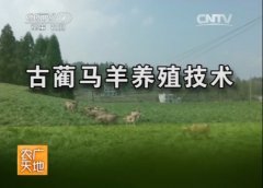 [农广天地]古蔺马羊养殖技术视频