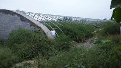陕西：上百家建设工程队陷蔬菜大棚骗局