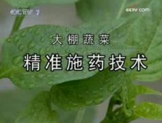 [农广天地]大棚蔬菜精准施药施肥技术