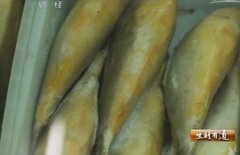 [生财有道]尤信铃海中炼真“金” 养殖每斤一万元的大黄鱼