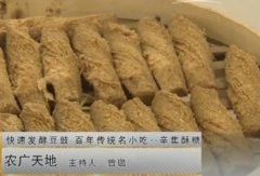 [农广天地]快速发酵豆豉 百年传统名小吃—辛集酥糖制作视频