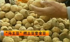 [致富经]马玉龙是如何把土豆变金豆的