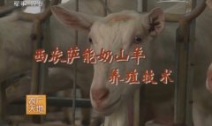 [农广天地]西农萨能奶山羊养殖技术视频