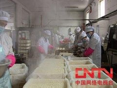 [致富经]王中林豆制品加工成就的创业传奇