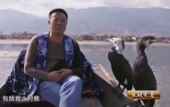 [生财有道]杨玉藩是驯养洱海鱼鹰创业路20150128