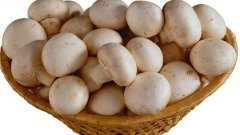 [农广天地]蘑菇菜品的制作方法