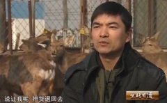 [生财有道]刘伍灵养殖梅花鹿从零到五百万的财富传奇(20150311)