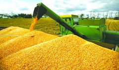 加工玉米糁子创业致富案例：80后放弃高薪回乡加工玉米糁子月入3