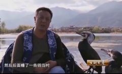 [生财有道]杨玉藩：洱海鱼鹰养殖与驯化创业经历