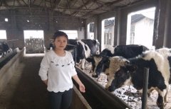 女大学生在农村创业当“牛倌”寻找别样精彩