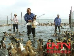 李江经营农家乐失败后靠吃海鲜的鸭子年赚400万