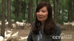 [致富经]不懂创业的媳妇苏珍芳荒山上养鸡苦守5年的致富路