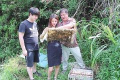 90后夫妻返乡创业养蜂热衷微信卖蜂蜜