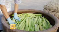 [农广天地]临清济美酱菜的制作视频