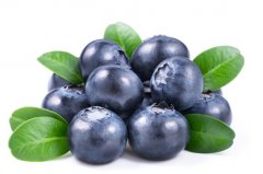 蓝莓的种植前景分析