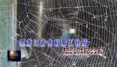 聚焦三农:黑龙江省水稻加工“走样”的补贴