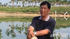 台湾陈煌奇养殖大泥鳅、罗非鱼20年的创业致富经