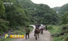 [生财有道]生态中国乡村行(遵义)－青山绿水 富了农家