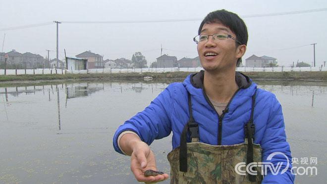 卢泽辉靠懒鱼翻身 螃蟹、青虾、沙塘鳢混养亩产值过万元