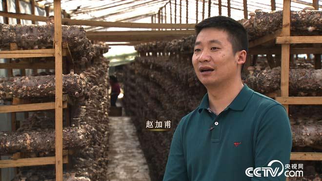 [致富经]赵加甫一夜赔掉20万元之后种香菇三年净赚400万