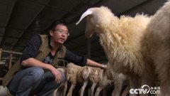 [致富经]赖雪峰回家养羊创业年销400万让村民都看得起我