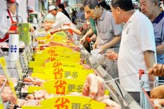 一头猪赚800元：山东青岛猪肉价格创五年之最
