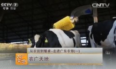 广东农垦牛奶和番石榴的生产技术