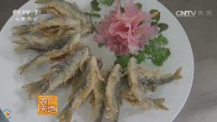 [农广天地]泰安：赤鳞鱼养殖和生菜种植技术