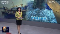 [聚焦三农]广东汕头渔业捕捞“靠海吃海”的隐忧