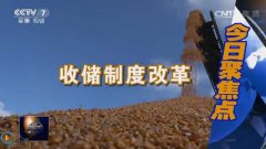[聚焦三农]收储制度改革,玉米啥时候卖才赚钱（上）