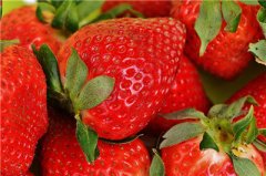 现在草莓多少钱一斤 今年草莓为何这么贵
