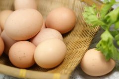 2017鸡蛋价格预测  未来鸡蛋价格走势堪忧