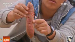 [科技苑]陕西延长县火焰山种红薯实用高产的新方法