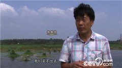 [致富经]江苏东海县周庚现养黑鱼年入500万 穷小伙的财富逆袭