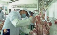 [聚焦三农]怎样挑选羊肉 羊肉里的生意和年味