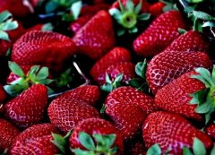 2017年种草莓赚钱吗？草莓的种植前景、市场价格行情如何？