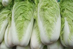 白菜多少钱一斤?2017年大白菜价格行情走势分析