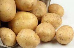2017年土豆价格行情预测