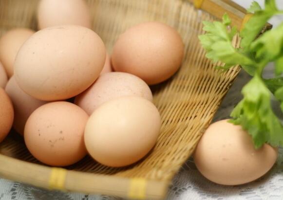 2017年鸡蛋价格分析预测：鸡年鸡蛋行情将会如何走势？