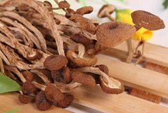 茶树菇多少钱一斤？2017年种植茶树菇的市场行情怎样？