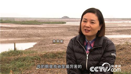 [致富经]浙江台州陈丽敏滩涂牧场搞养殖 泥巴里淘出千万财富