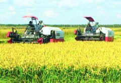 2017年农民从事农业种植的五个建议