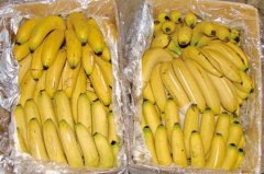 2017年香蕉价格行情分析预测