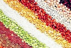 2017年杂粮杂豆市场行情分析：个别品种存在下滑预期！