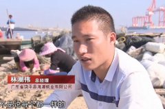 [科技苑]生蚝养殖技术:林潮伟创新养出精品大蚝
